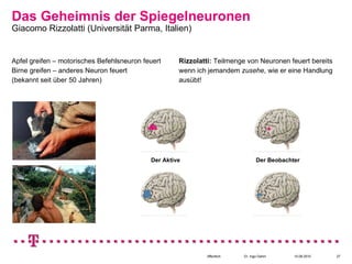 Das Geheimnis der Spiegelneuronen
Giacomo Rizzolatti (Universität Parma, Italien)


Apfel greifen – motorisches Befehlsneuron feuert     Rizzolatti: Teilmenge von Neuronen feuert bereits
Birne greifen – anderes Neuron feuert                wenn ich jemandem zusehe, wie er eine Handlung
(bekannt seit über 50 Jahren)                        ausübt!




                                            Der Aktive                           Der Beobachter




                                                             öffentlich   Dr. Ingo Dahm      10.08.2010   27
 