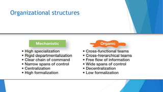 Organizational structures
 