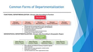 Common Forms of Departmentalization
 