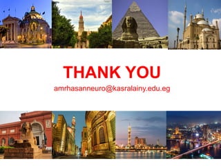 THANK YOU
amrhasanneuro@kasralainy.edu.eg
 