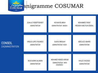 Organigramme COSUMAR
 