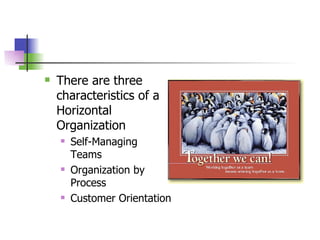 There are three characteristics of a Horizontal Organization Self-Managing Teams Organization by Process Customer Orientation 
