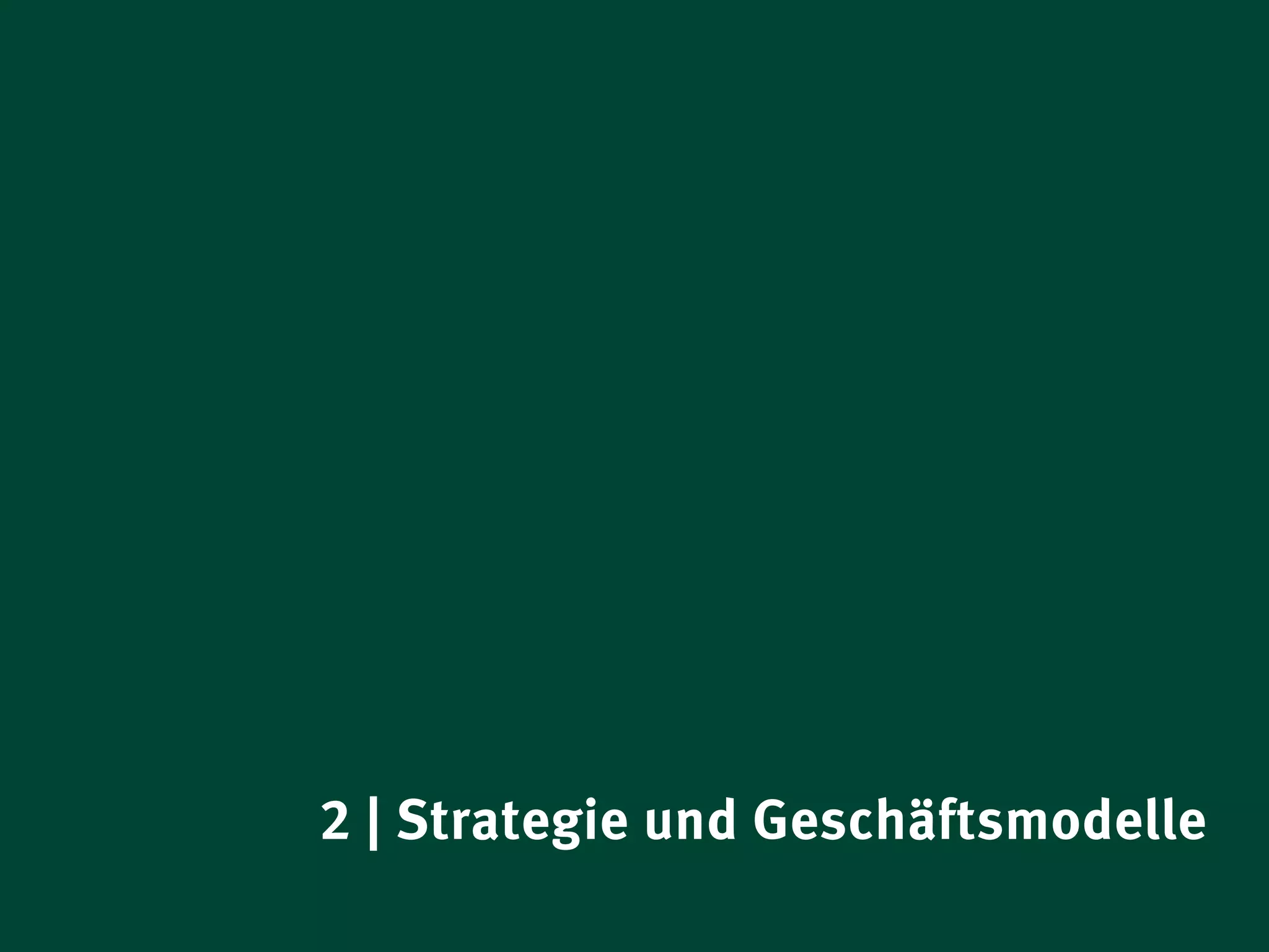 2 | Strategie und Geschäftsmodelle
Management Summary Strategien Digitale Produkte 2012            12
 