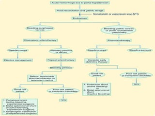 Somatostatin or vasopressin w/wo NTG 