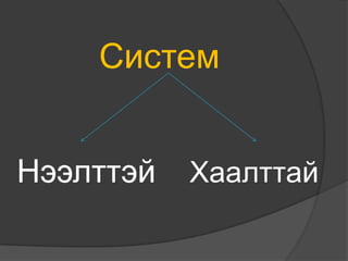 СистемНээлттэйХаалттай