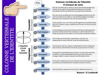 La colonne vertébrale de l’identité est un empilage de 9 niveaux de sens
constitutifs de l’identité de chaque personne.
La verticalité parfaite n’est pas recherchée, le modèle peut être
circulaire car les éléments interagissent. L'essentiel est que les
éléments restent liés pour que l’édifice complexe tienne debout, et que
l'important soit guidé par l'essentiel.
IDENTITÉ À 9 NIVEAUX
Source : V. Lenhardt
 
