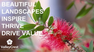 BEAUTIFUL
LANDSCAPES
INSPIRE
THRIVE
DRIVE VALUE
 