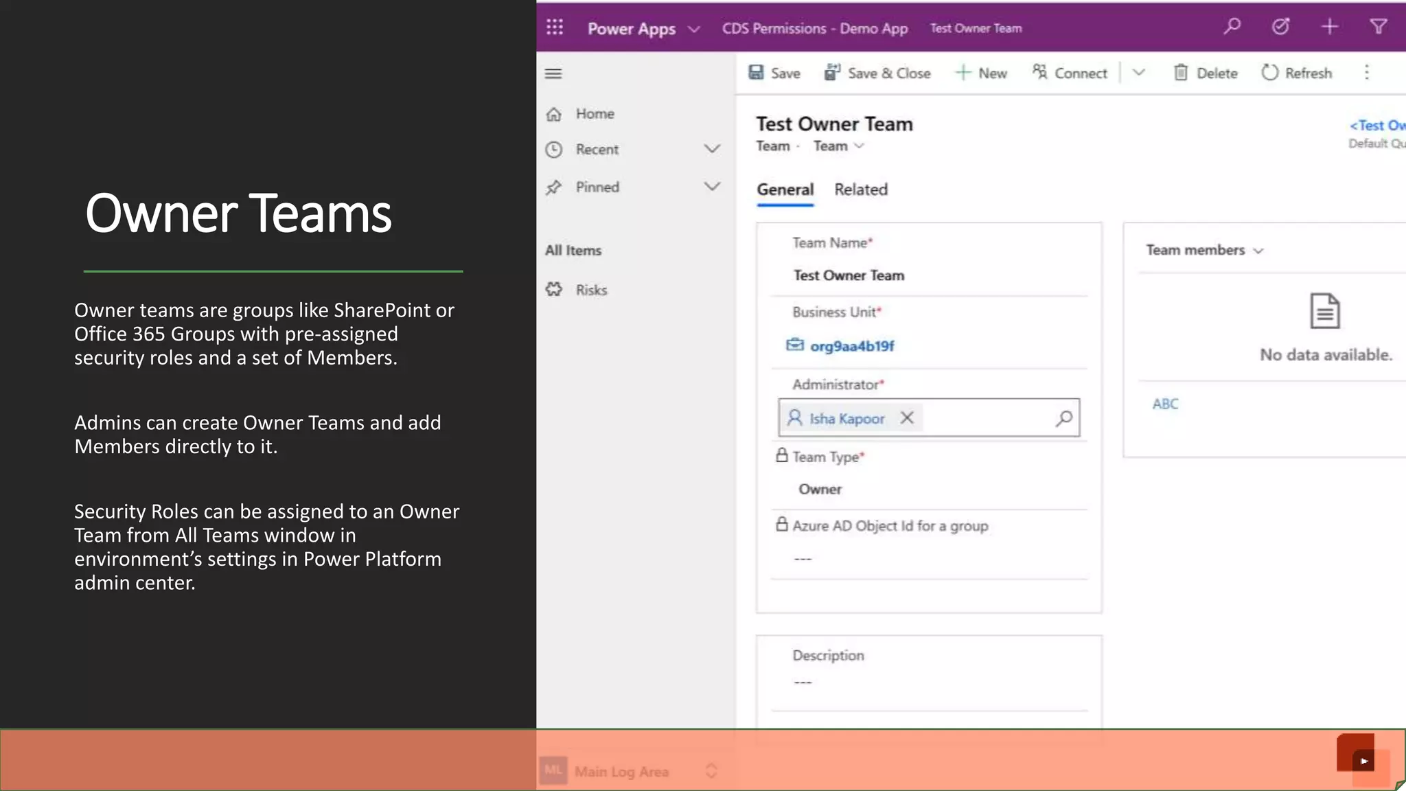 Owner Teams Owner teams are groups like SharePoint or Office 365 Groups with pre-assigned security roles and a set of Members. Admins can create Owner Teams and add Members directly to it. Security Roles can be assigned to an Owner Team from All Teams window in environment’s settings in Power Platform admin center. 