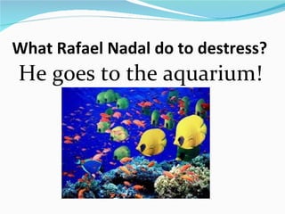 What Rafael Nadal do to destress?
He goes to the aquarium!
 