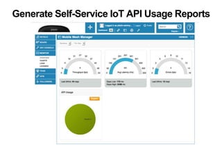 Generate Self-Service IoT API Usage Reports 
 