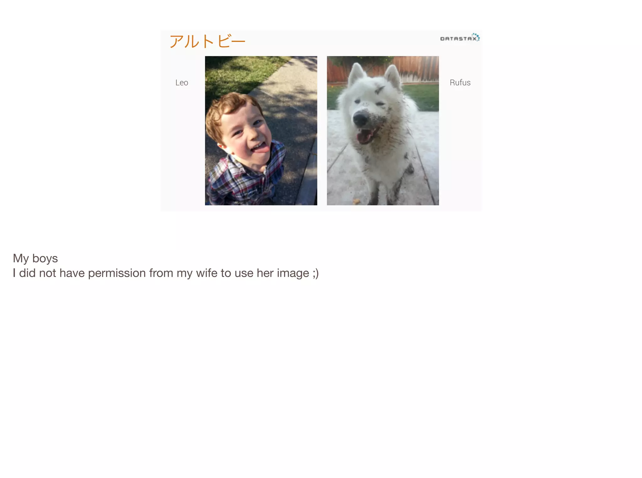 アルトビー
Leo

My boys

I did not have permission from my wife to use her image ;)


Rufus

 