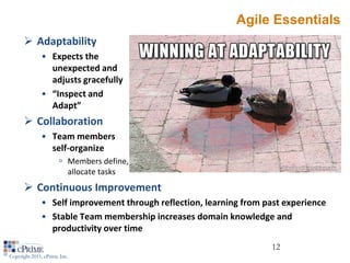 Agile Essentials
       Adaptability
              • Expects the
                unexpected and
                adjusts gracefully
              • “Inspect and
                Adapt”
       Collaboration
              • Team members
                self-organize
                       Members define,
                        allocate tasks
       Continuous Improvement
              • Self improvement through reflection, learning from past experience
              • Stable Team membership increases domain knowledge and
                productivity over time
                                                                     12
Copyright 2011, cPrime Inc.
 