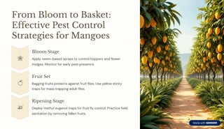 Mango Insect Trap Managing-Pests-in-Apple-Mango-and-Citrus-Crops.pdf