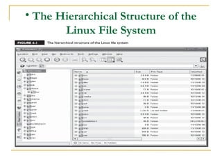 managing-the-linux-file-system_suse_.ppt