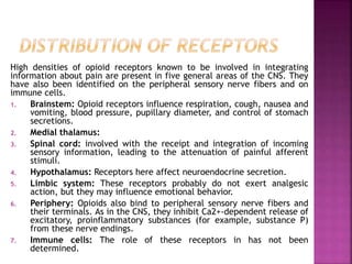 High densities of opioid receptors known to be involved in integrating
information about pain are present in five general areas of the CNS. They
have also been identified on the peripheral sensory nerve fibers and on
immune cells.
1. Brainstem: Opioid receptors influence respiration, cough, nausea and
vomiting, blood pressure, pupillary diameter, and control of stomach
secretions.
2. Medial thalamus:
3. Spinal cord: involved with the receipt and integration of incoming
sensory information, leading to the attenuation of painful afferent
stimuli.
4. Hypothalamus: Receptors here affect neuroendocrine secretion.
5. Limbic system: These receptors probably do not exert analgesic
action, but they may influence emotional behavior.
6. Periphery: Opioids also bind to peripheral sensory nerve fibers and
their terminals. As in the CNS, they inhibit Ca2+-dependent release of
excitatory, proinflammatory substances (for example, substance P)
from these nerve endings.
7. Immune cells: The role of these receptors in has not been
determined.
 