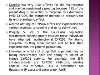  Codeine has very little affinity for the mu receptor
and may be considered a prodrug because 11% of the
parent drug is converted to morphine by cytochrome
P450 CYP2D6.The morphine metabolite accounts for
its entire analgesic effect.
 Altered activity of CYP2D6 offers one explanation for
varied responses to codeine and to its derivatives
 Roughly 5- 9% of the Caucasian population
metabolizes codeine poorly because these individuals
have inherited nonfunctional CYP2D6. For them,
analgesia resulting from codeine will be less than
expected with the general population.
 Likewise, a variety of drugs that a patient may be
taking concurrently have the ability to inhibit or
induce CYP2D6 activity. For example, the SSRI
antidepressants are CYP2D6 inhibitors, making
codeine less effective. This is established for
fluoxetine (Prozac) and paroxetine (Paxil)
 