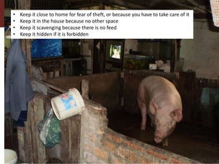 The animal husbandry perspective: Managing animals and their excreta in low- and middle-income countries