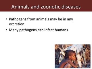 The animal husbandry perspective: Managing animals and their excreta in low- and middle-income countries