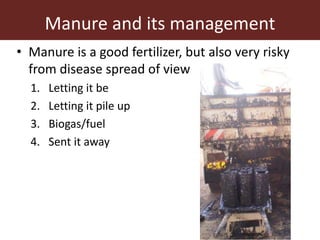 The animal husbandry perspective: Managing animals and their excreta in low- and middle-income countries