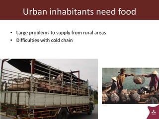 The animal husbandry perspective: Managing animals and their excreta in low- and middle-income countries