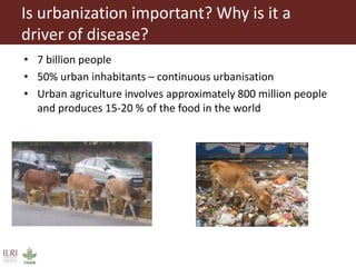 The animal husbandry perspective: Managing animals and their excreta in low- and middle-income countries