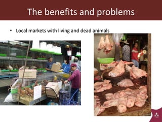 The animal husbandry perspective: Managing animals and their excreta in low- and middle-income countries