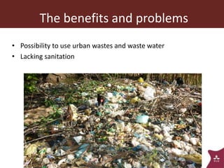 The animal husbandry perspective: Managing animals and their excreta in low- and middle-income countries