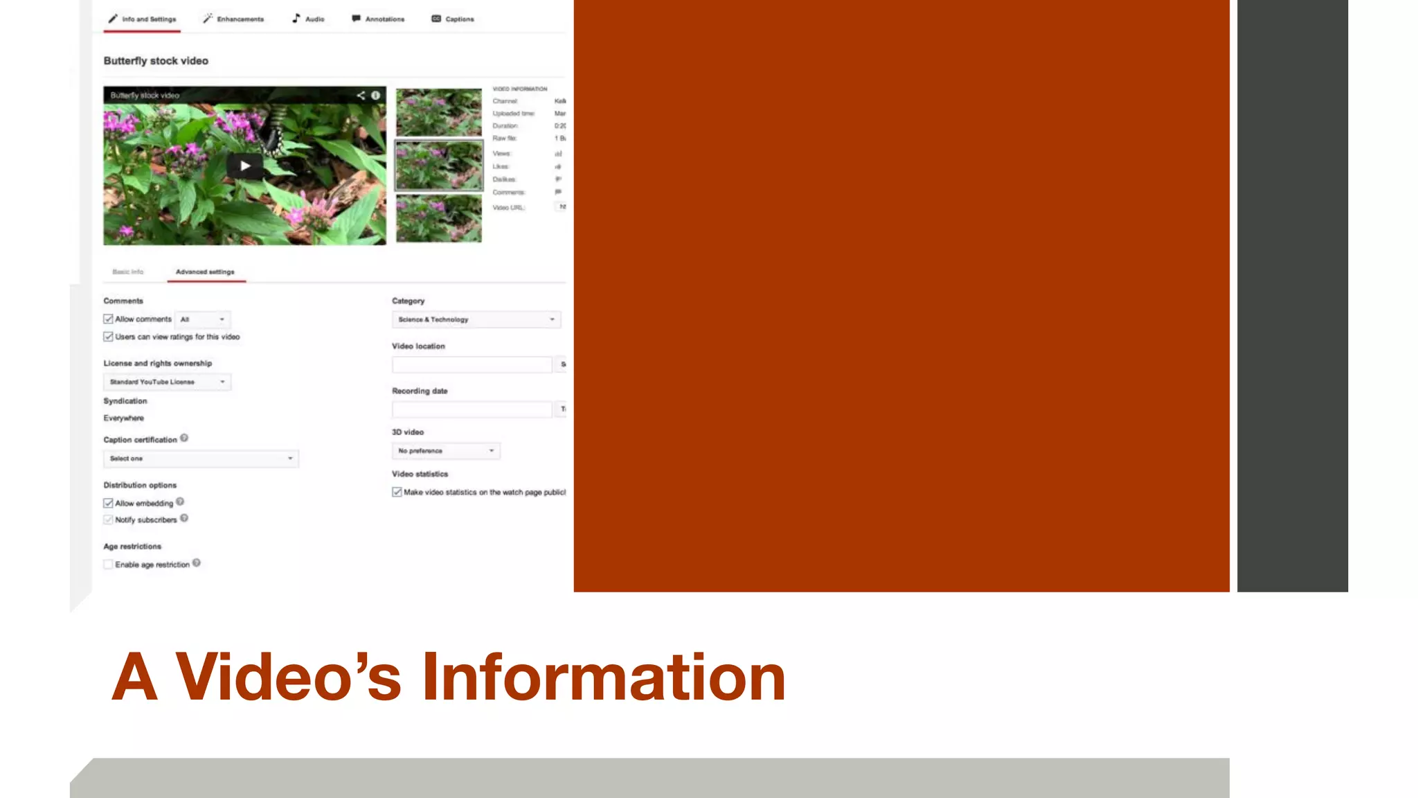 A Video’s Information
 