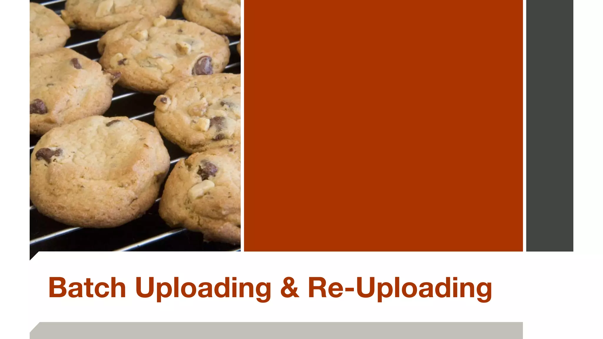 Batch Uploading & Re-Uploading
 