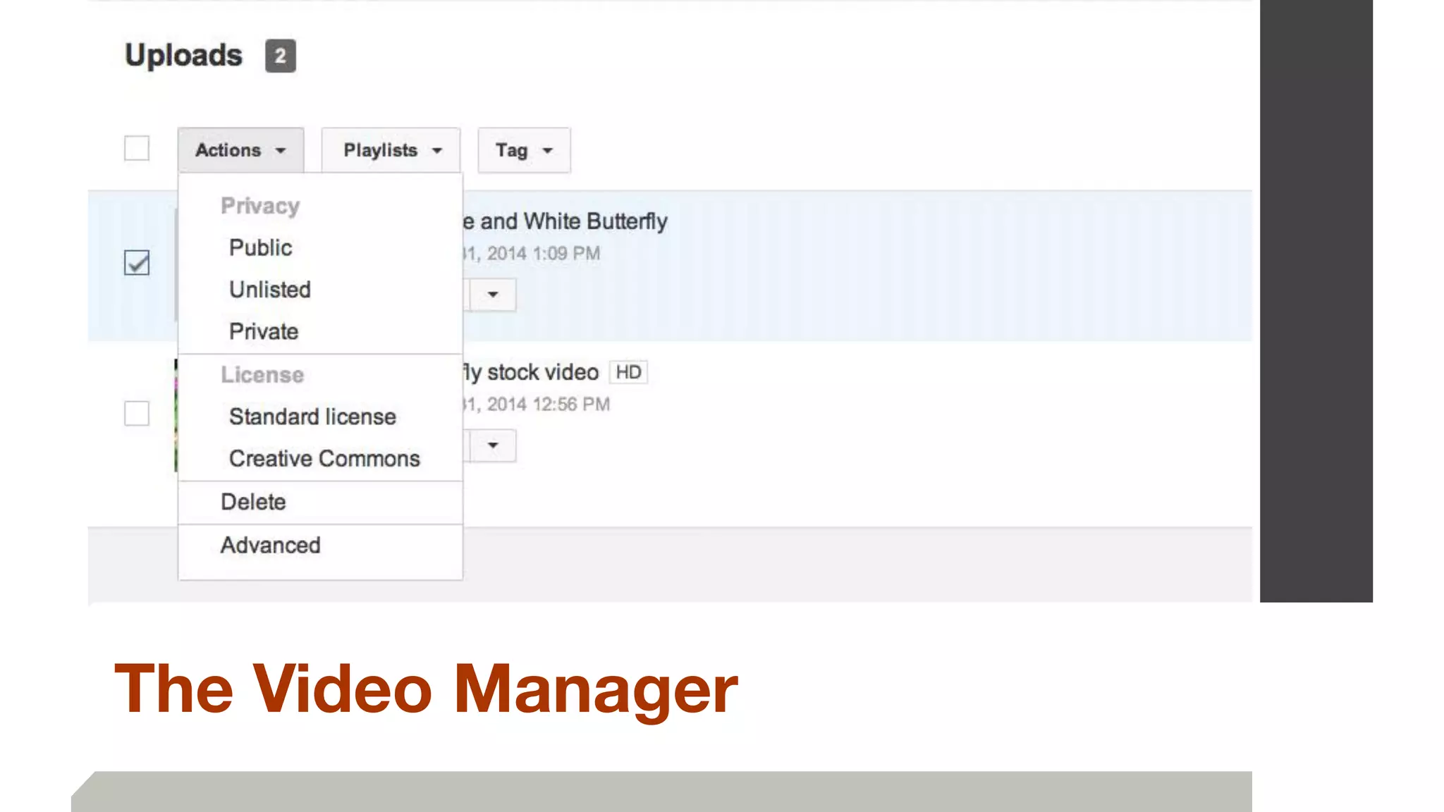 The Video Manager
 