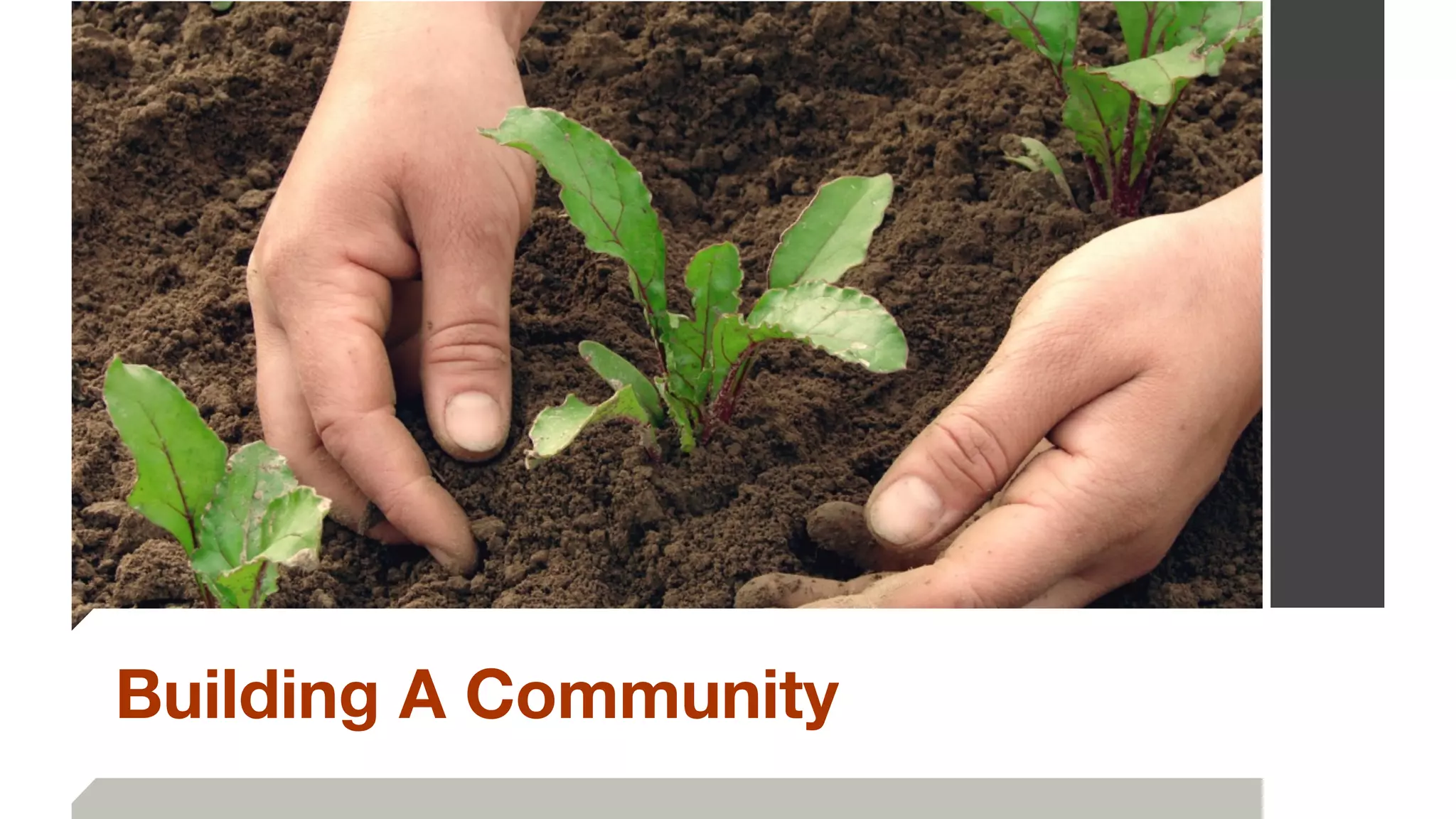 Building A Community
 