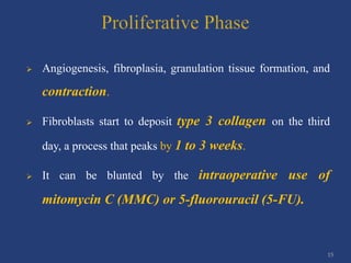 Managing bleb failure - A brief guide | PPTX