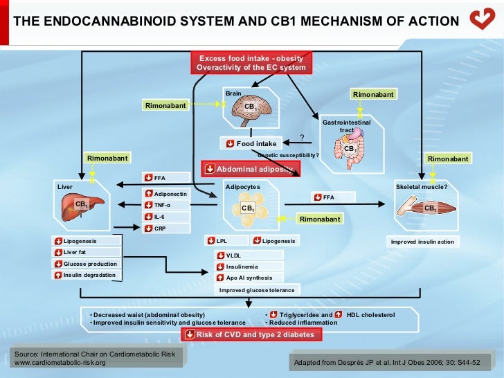 Managing cardiometabolic risk Managing cardiometabolic risk