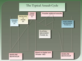The Typical Assault Cycle Based on Kaplan and  Wheeler 1983 Possible additional assaults BASELINE BEHAVIOUR BASELINE BEHAVIOUR TRIGGER PHASE (A) ESCALATION PHASE (B) CRISIS PHASE  (C) PLATEAU RECOVERY PHASE (D) POST-CRISIS DEPRESSION PHASE (E) 