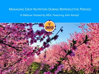 MANAGING CROP NUTRITION DURING REPRODUCTIVE PERIODS
A Webinar Hosted by AEA, Featuring John Kempf
 