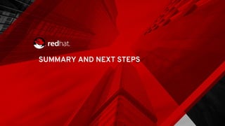 SUMMARY AND NEXT STEPS
 