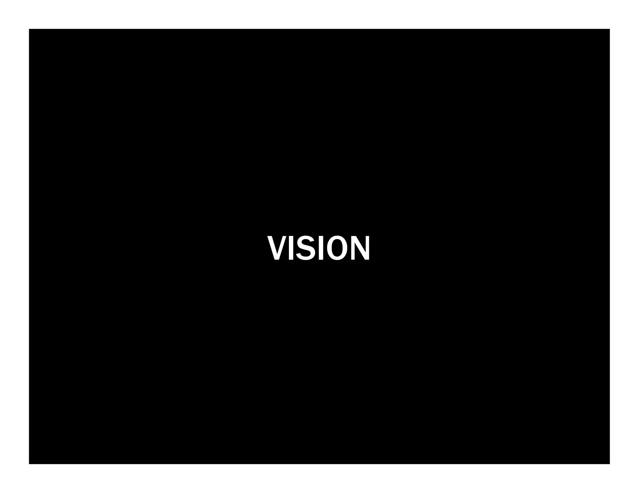 VISION
 