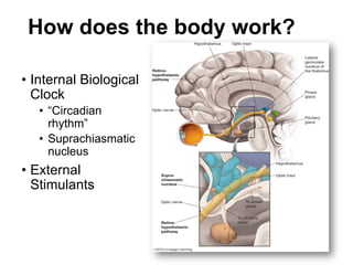 Managing DM and thyroid disease in shift workers | PDF