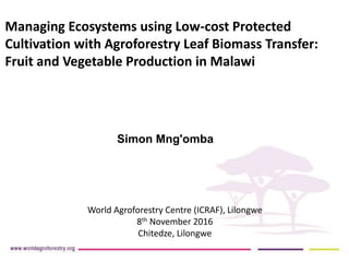 Simon Mng'omba
World Agroforestry Centre (ICRAF), Lilongwe
8th November 2016
Chitedze, Lilongwe
Managing Ecosystems using Low-cost Protected
Cultivation with Agroforestry Leaf Biomass Transfer:
Fruit and Vegetable Production in Malawi
 
