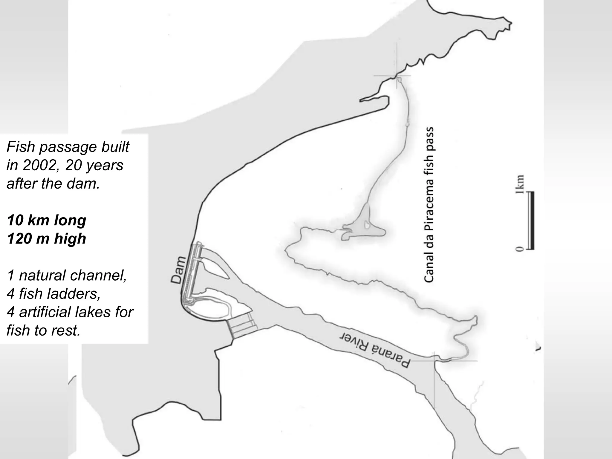 Managing fish passage through large dams | PPTX | Fish and Aquariums | Pets