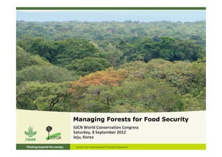 Managing Forests for Food Security
IUCN World Conservation Congress
Saturday, 8 September 2012
Jeju, Korea
 