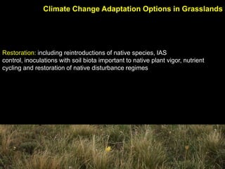 Managing Grasslands Ecosystems in a Changing Climate: opportunities for ...