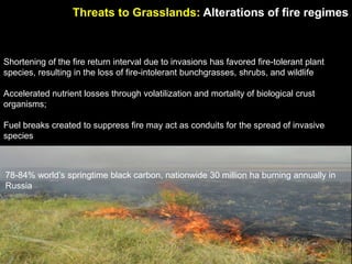 Managing Grasslands Ecosystems in a Changing Climate: opportunities for ...