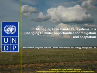 Managing Grasslands Ecosystems in a Changing Climate: opportunities for mitigation and adaptation   Adriana Dinu, Regional Practice Leader, Environment and Energy, Europe and CIS © 2010 UNDP. All Rights Reserved Worldwide. Proprietary and Confidential. Not For Distribution Without Prior Written Permission. 