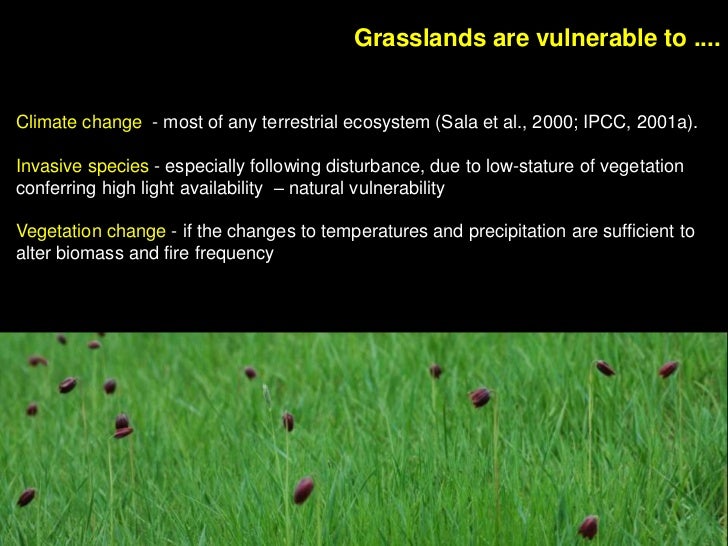 Managing Grasslands Ecosystems in a Changing Climate opportunities f…