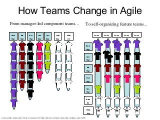 How Teams Change in Agile
Web
Mgr
DB
Mgr
Srvr
Mgr
Net
Mgr
Sys
Mgr
PjM
Mgr
PdM
Dir
Web
Mgr
DB
Mgr
Srvr
Mgr
Net
Mgr
Sys
Mgr
PMO
Mgr
PdM
Dir
PO PO PO PO PO
S
M
S
M
S
M
S
M
S
M
Team Team Team Team Team
From manager-led component teams… To self-organizing feature teams...
t-shirts, public domain under Creative Commons CC0, https://pixabay.com/en/tee-shirt-white-clothing-casual-34009/
 