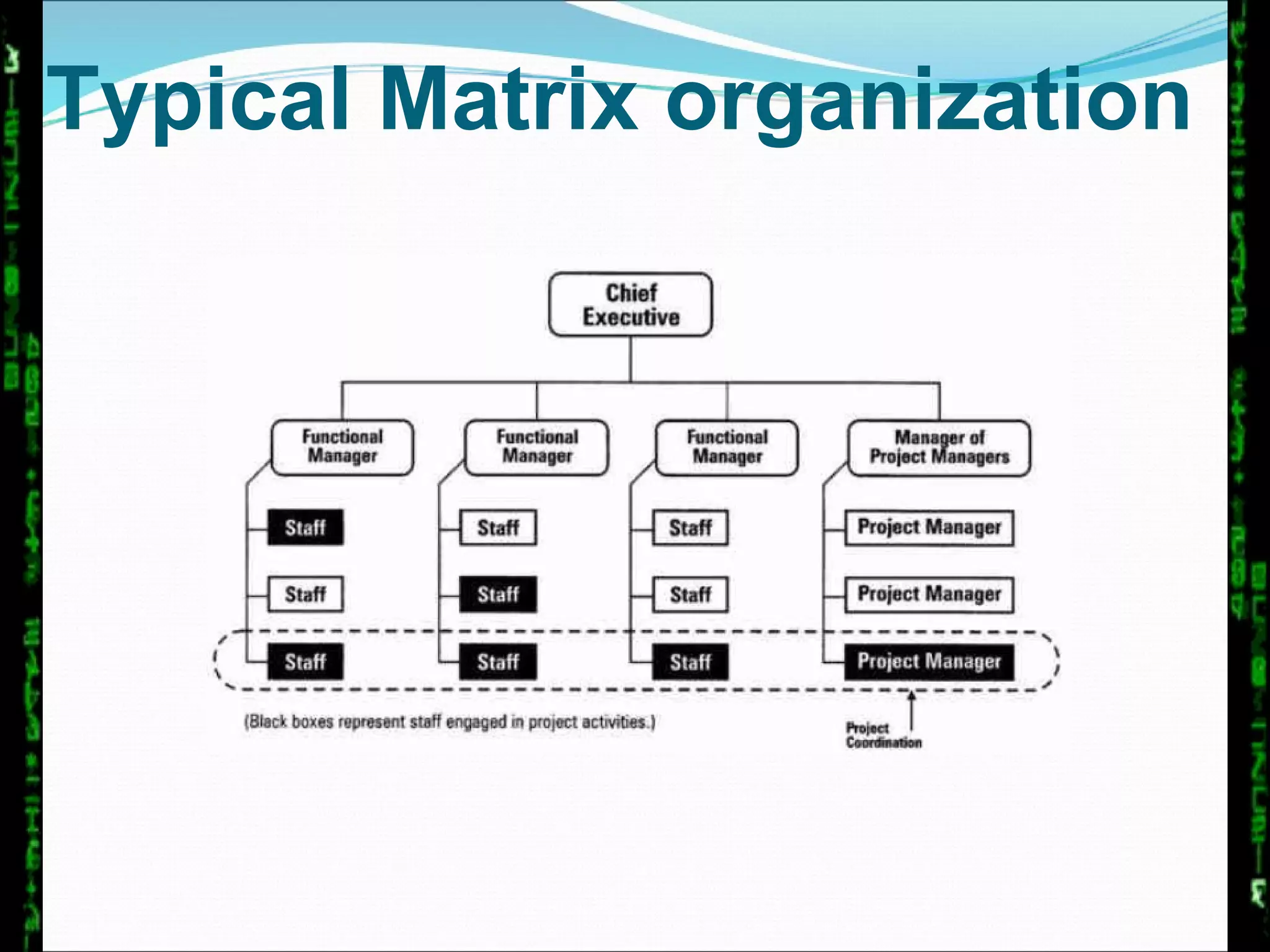 Typical Matrix organization 