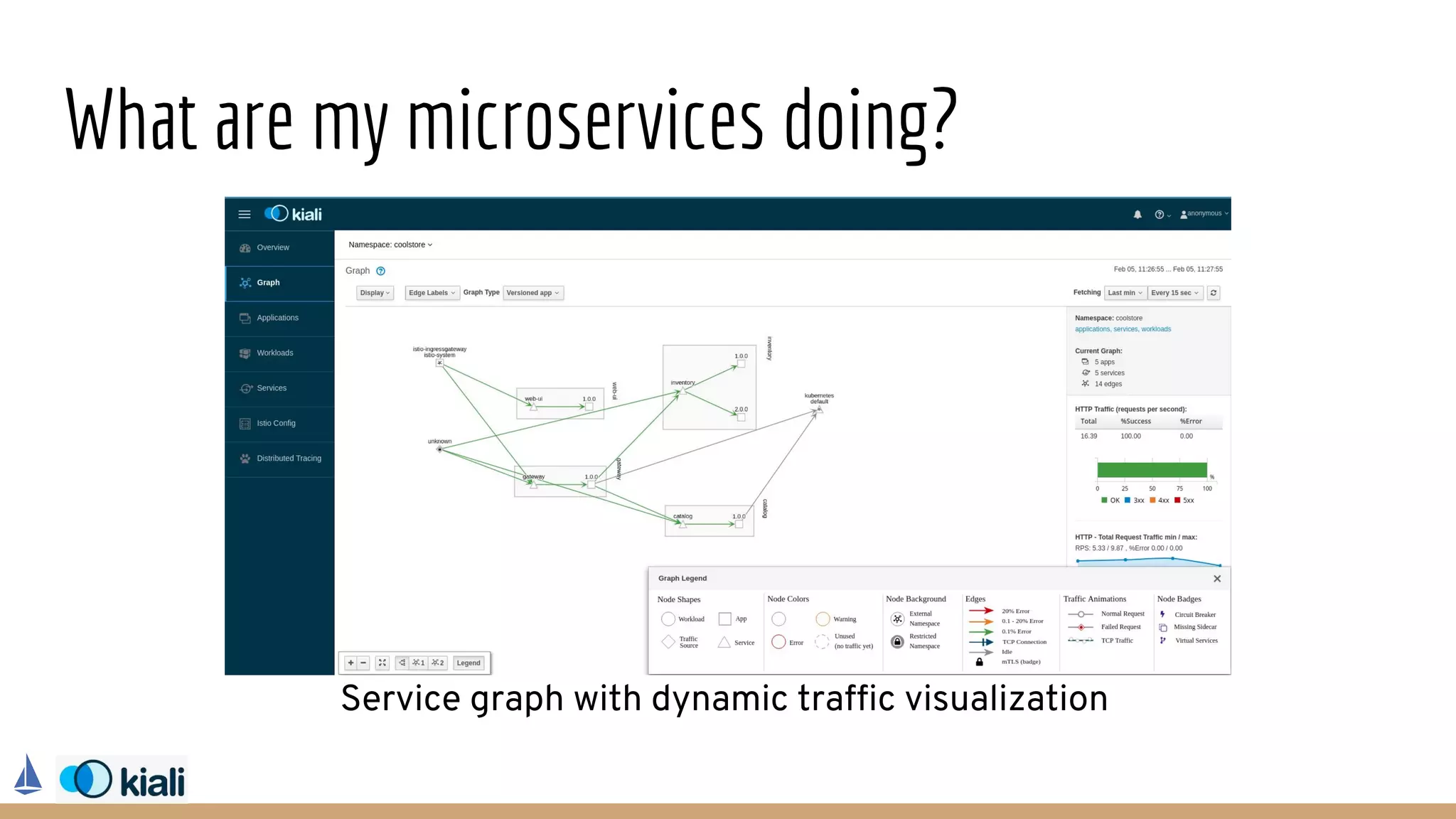 What are my microservices doing?
Service graph with dynamic traffic visualization
 