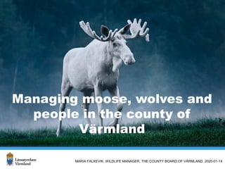 Managing moose, wolves and
people in the county of
Värmland
MARIA FALKEVIK, WILDLIFE MANAGER, THE COUNTY BOARD OF VÄRMLAND, 2020-01-14
 