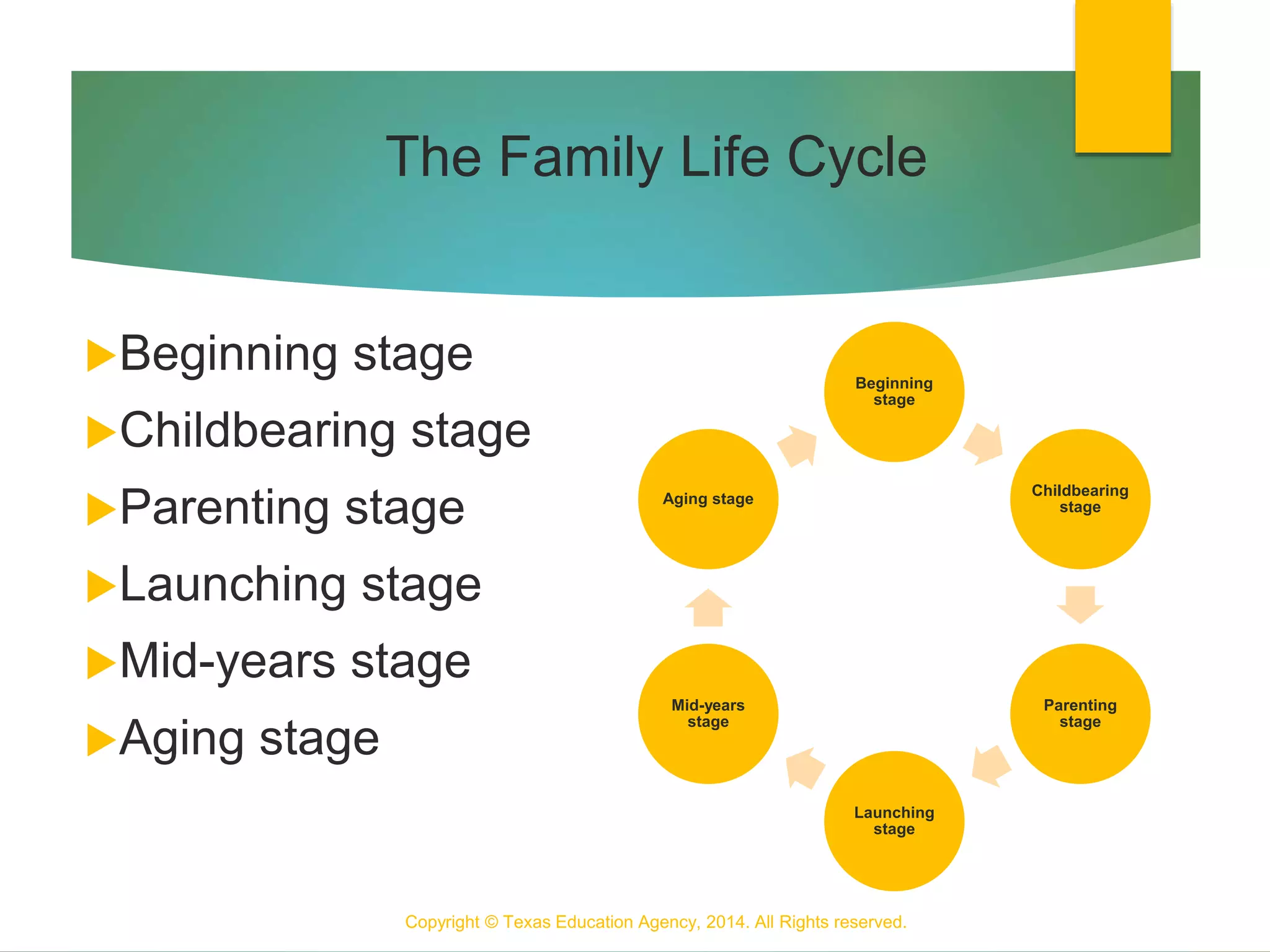 The Family Life Cycle
Beginning stage
Childbearing stage
Parenting stage
Launching stage
Mid-years stage
Aging stage
Copyright © Texas Education Agency, 2014. All Rights reserved.
4
Beginning
stage
Childbearing
stage
Parenting
stage
Launching
stage
Mid-years
stage
Aging stage
 